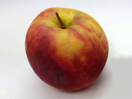 Apfel im Colorjet full-color Z-Print Verfahren
